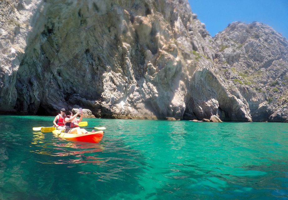 From Lisbon: Arrabida Park Small Group Kayak Tour - Key Points