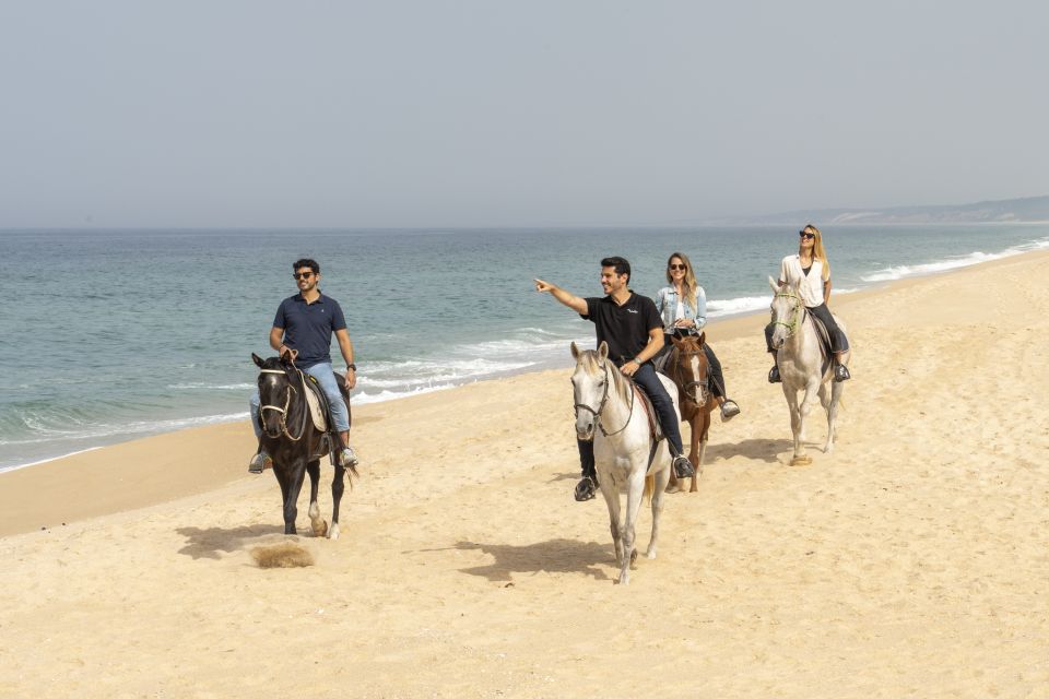 From Lisbon: Comporta and Setúbal Trip With Horseback Riding - Key Points