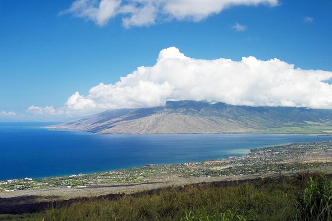 From Maalaea Harbor: Whale Watching Tours Aboard the Quicksilver - Just The Basics