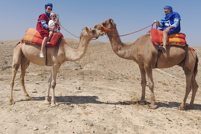 From Marrakech: Agafay Desert Dinner With Camel Ride - Highlights of the Camel Ride