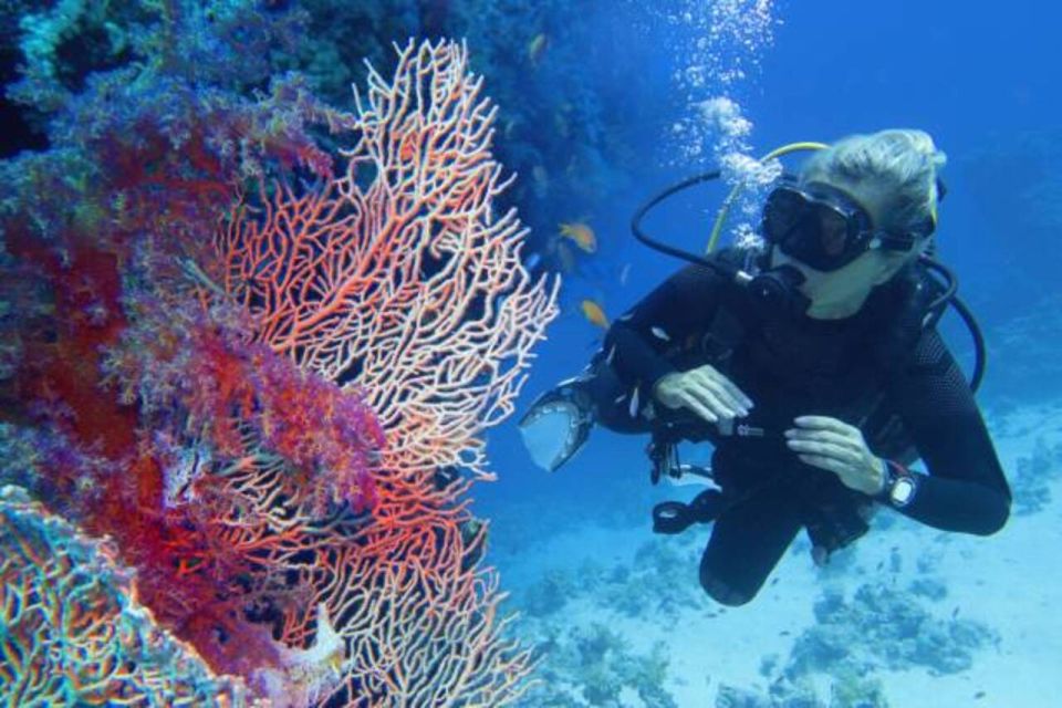 From Marsa Alam: Beginners Scuba Diving Day-Trip With Lunch - Key Points