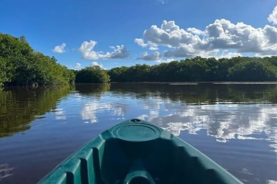 From Mérida: Full-Day Sisal Kayaking Tour With Lunch - Key Points