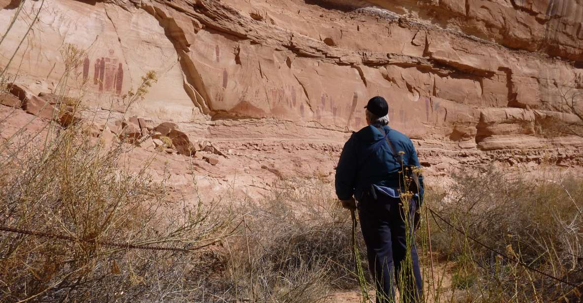 From Moab: 1-Day Horseshoe Canyon Exploration - Key Points