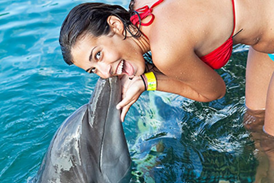 From Montego Bay: Dolphin Cove Lucea Private Return Transfer - Activity Details