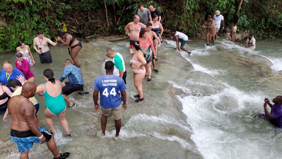 From Montego Bay: Dunn's River Falls Experience - Just The Basics