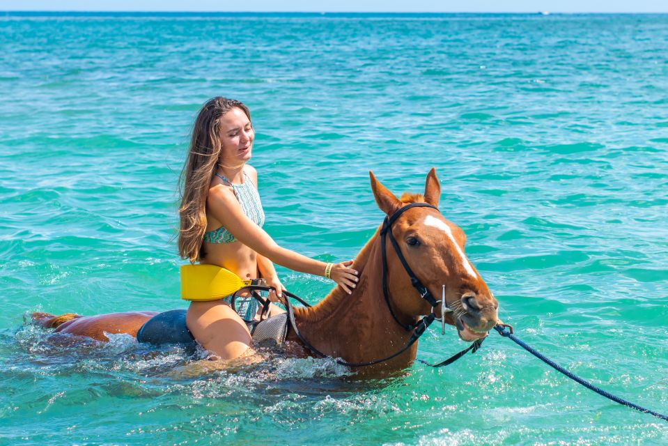 From Montego Bay or Negril: Chukka Horseback Ride and Swim - Key Points