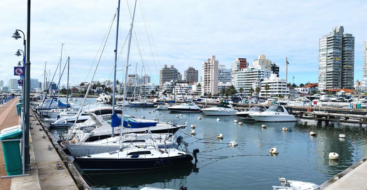 From Montevideo: Punta Del Este Full-Day Private Tour - Key Points