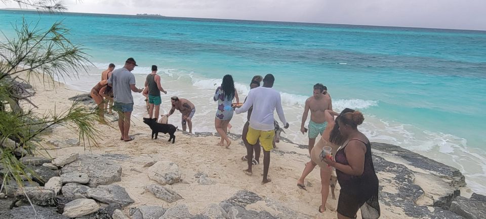 From Nassau: Exuma Iguanas, Sharks & Swimming Pigs Day Tour - Just The Basics