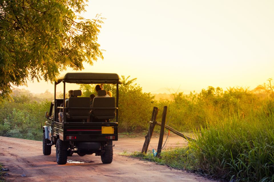 From Negombo: Minneriya National Park Safari Tour - Key Points