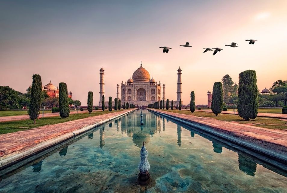 From New Delhi: Private Day Trip to Taj Mahal and Agra Fort - Key Points