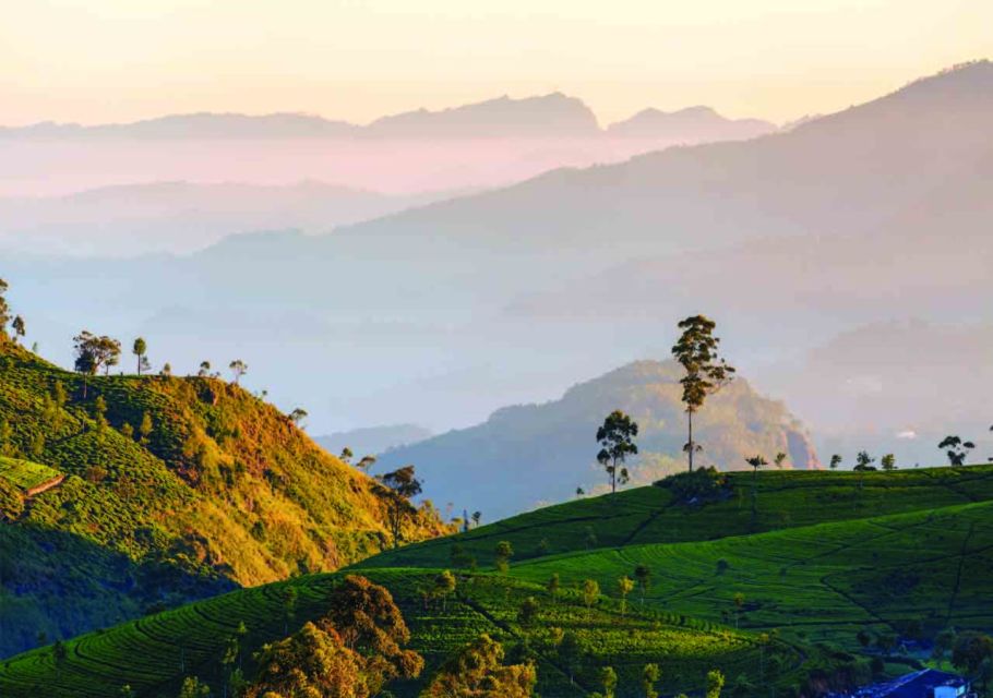 From Nuwara Eliya: Haputale Highlands Private Day Tour - Key Points