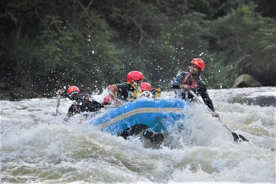 From Nuwara Eliya: White Water Rafting in Kithulgala - Key Points