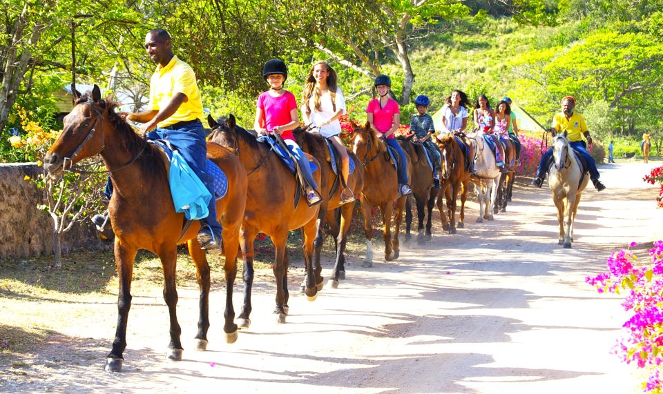 From Ocho Rios: Scenic Guided Horseback Ride With Transfer - Just The Basics
