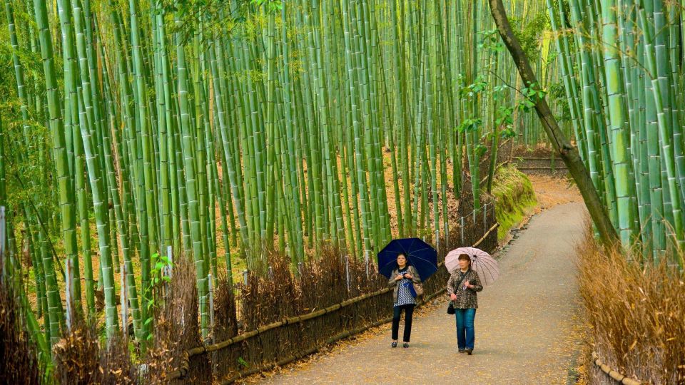 From Osaka: Fushimi Inari Shrine, Kyoto, and Nara Day Trip - Just The Basics