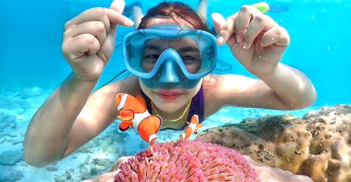 From Pattaya: Private Speedboat to Nemo Island With Snorkel - Key Points