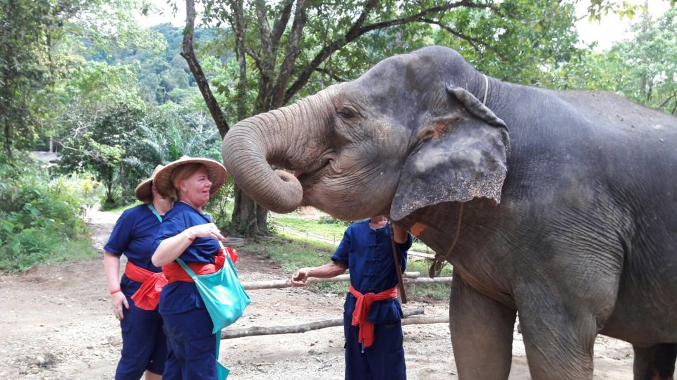 From Phuket: Elephant Care Experience With Rafting & Zipline - Key Points