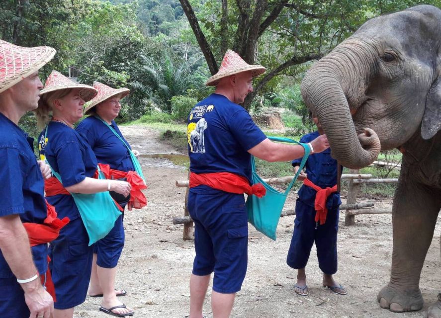 From Phuket & Khao Lak: Elephant Care With Waterfall Visit - Key Points