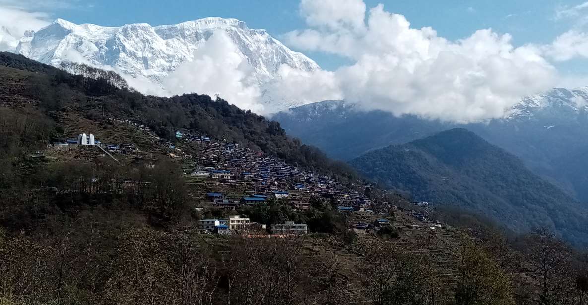 From Pokhara: 2 Nights 3 Days Mardi Himal Trek - Key Points