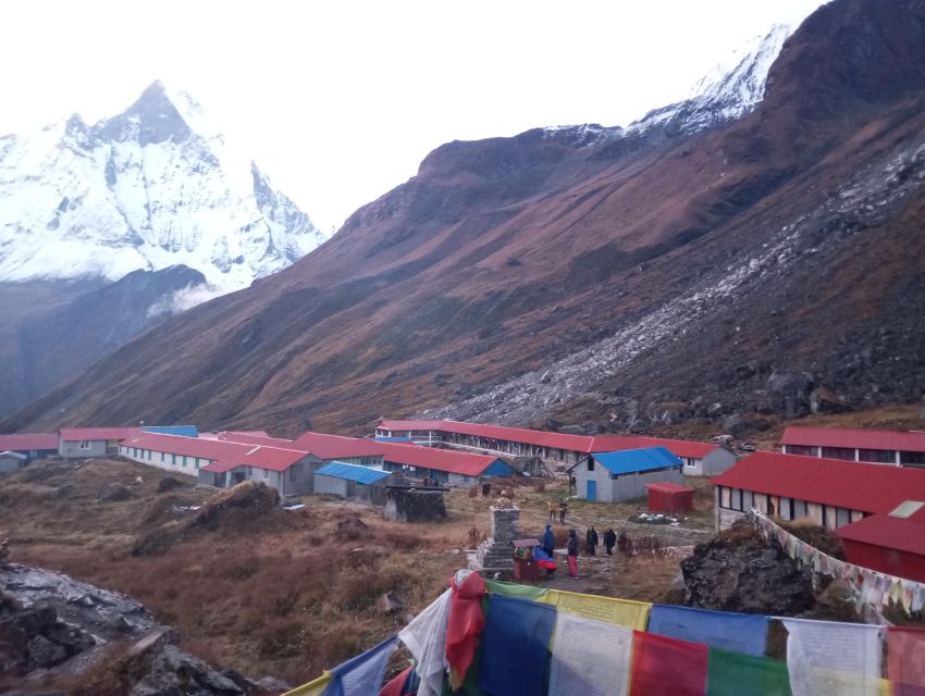 From Pokhara: Annapurna Basecamp 7 Days Guided Trek - Key Points