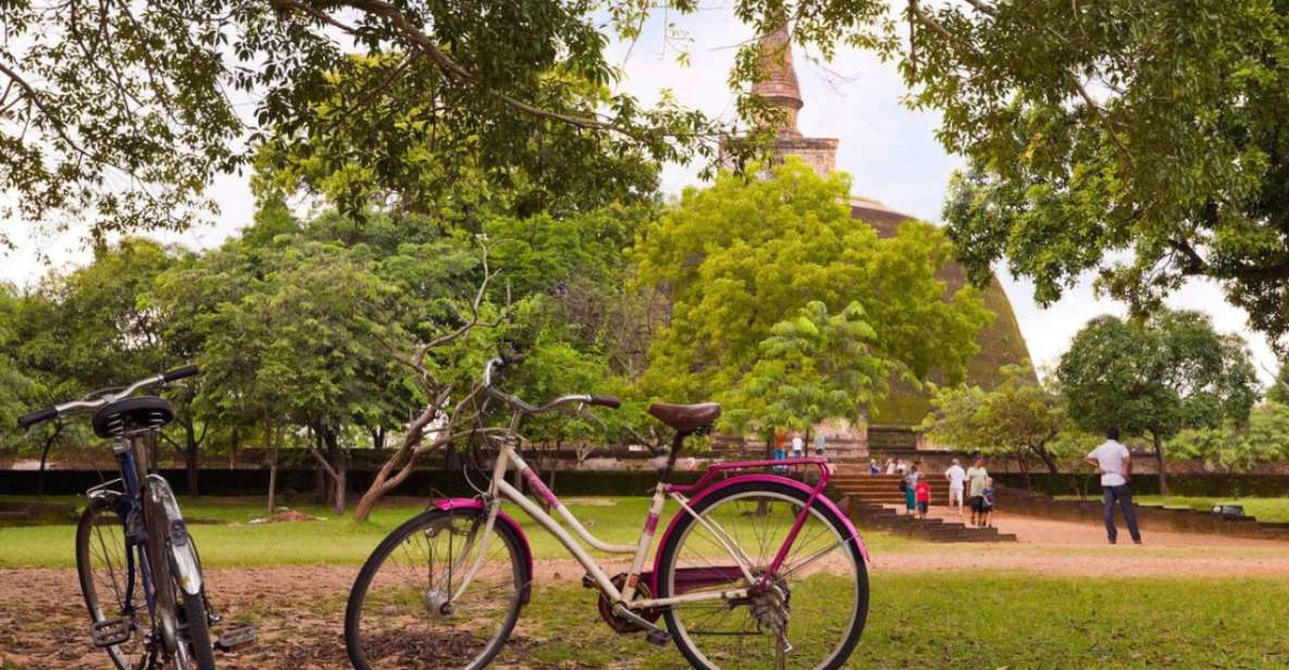 From Polonnaruwa: Ancient City of Polonnaruwa by Bike - Key Points