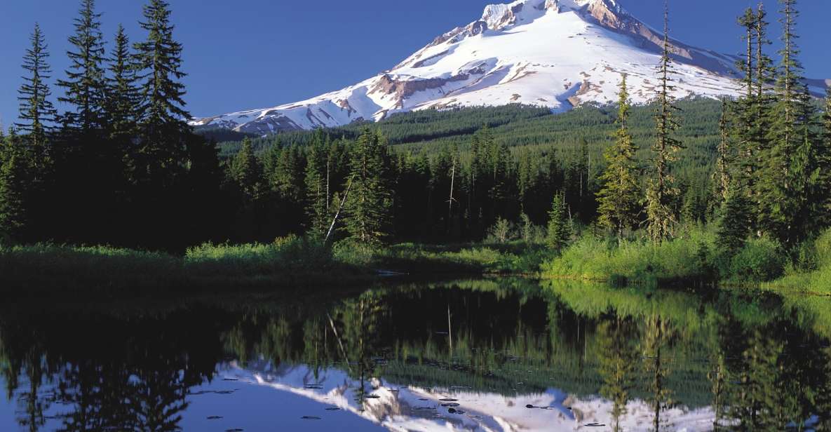 From Portland: Columbia Gorge Waterfalls and Mt. Hood Tour - Key Points