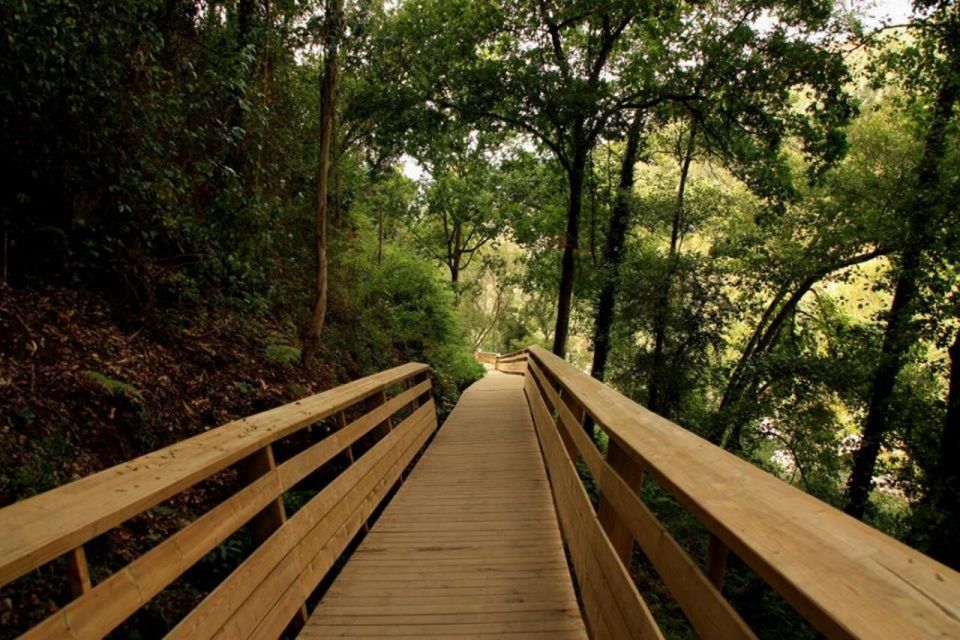 From Porto: 516 Arouca Bridge and Paiva Walkways Guided Tour - Key Points