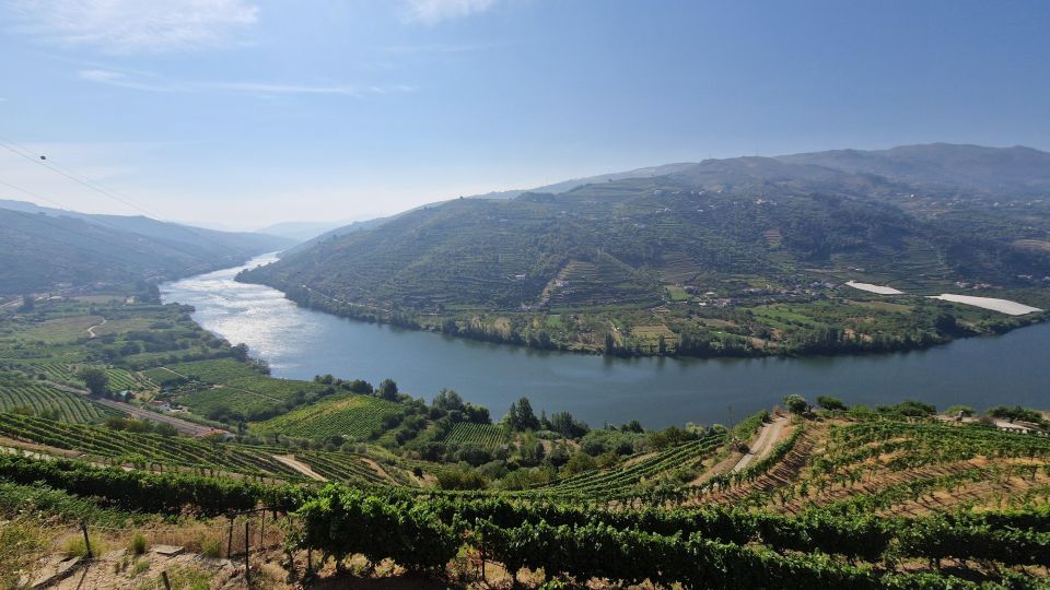 From Porto Private Wine Tour With 2 Tastings, Boat and Lunch - Key Points