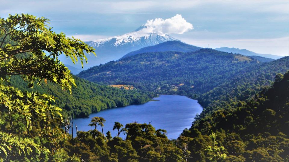 From Pucón: Huerquehue National Park Hiking Tour - Key Points