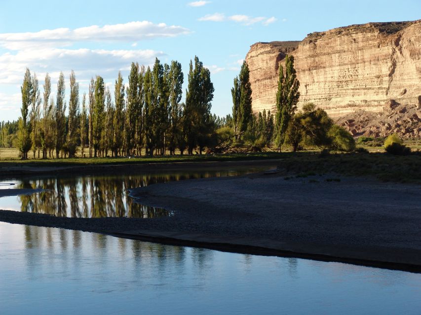 From Puerto Madryn: Chubut River Valley Welsh Colonies - Key Points