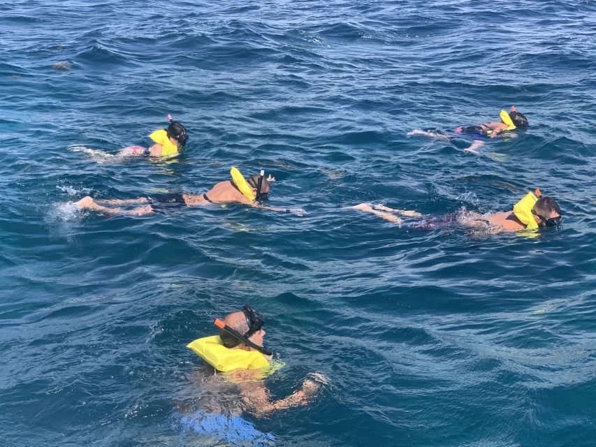 From Punta Cana: Catalina Island Swim, Sail & Snorkel - Key Points