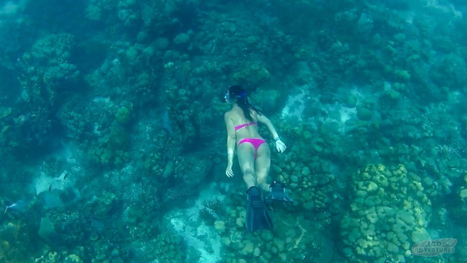 From Punta Cana: Catalina Snorkeling & Altos De Chavon Tour - Key Points