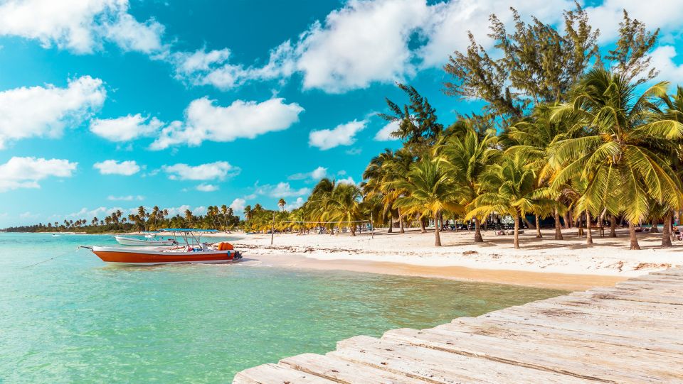From Punta Cana: Full-Day Saona Island Excursion - Key Points