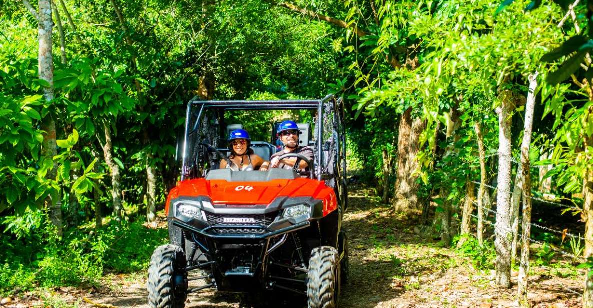 From Punta Cana: Jungle Buggy Adventure to Anamuya River - Key Points