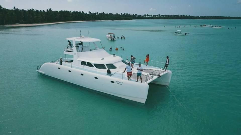 From Punta Cana: Saona Island Private Guided Catamaran Tour - Just The Basics