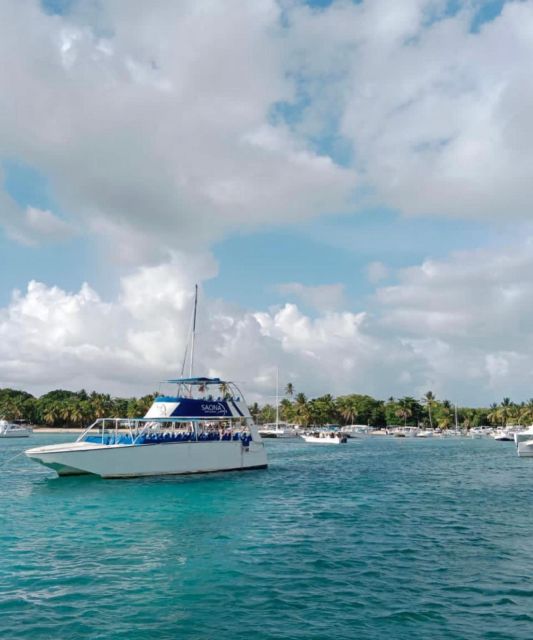From Puntacana- Saona Island/Catamaran- Drinks and Buffet - Key Points