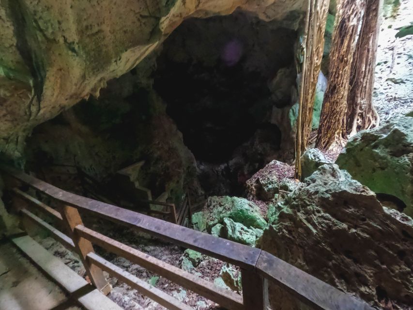 From Runaway Bay: Green Grotto Caves Excursion With Transfer - Key Points