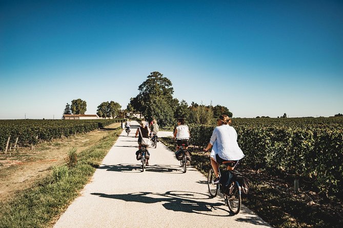 From Saint-Emilion : Electric Bike Day Tour With Wine Tastings and Picnic Lunch - Just The Basics