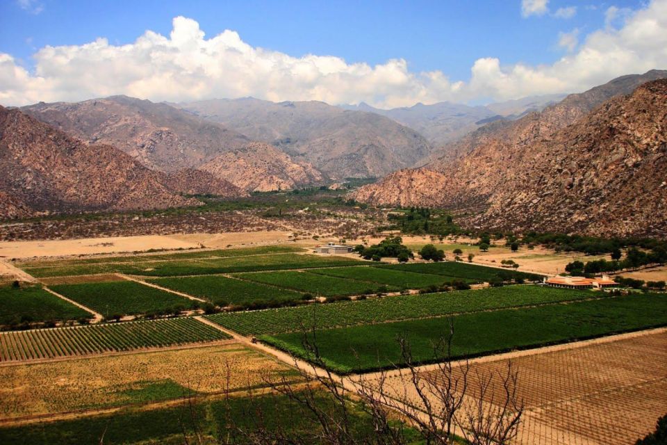 From Salta: Full-Day Wine and Valley Tour to Cafayate - Key Points