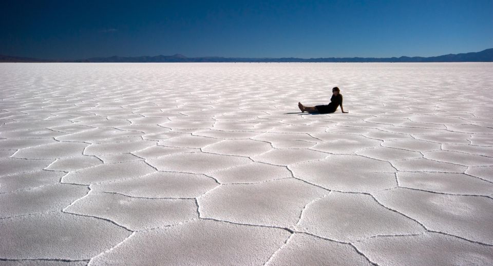 From Salta: Great Salt Flats Day Tour - Key Points
