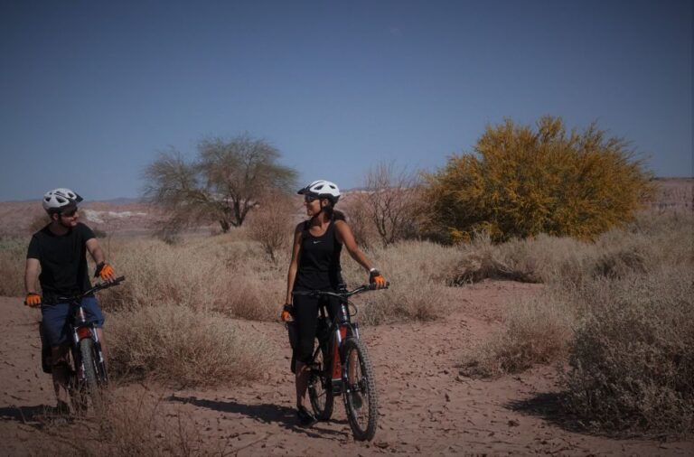 From San Pedro De Atacama: Laguna Cejar E-Biking Adventure