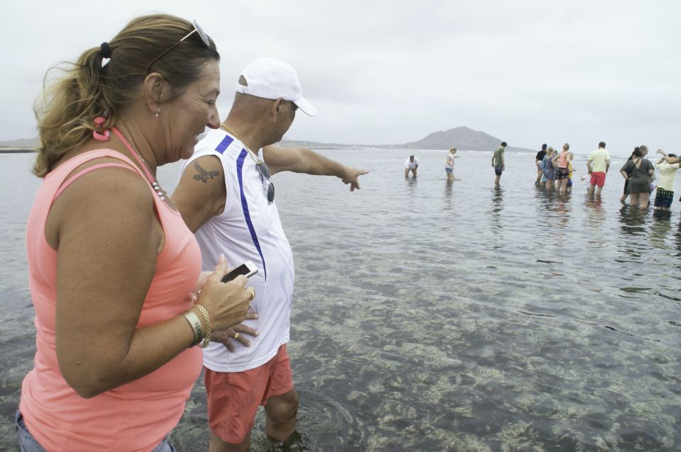 From Santa Maria: Guided Lemon Shark Watching - Experience Highlights