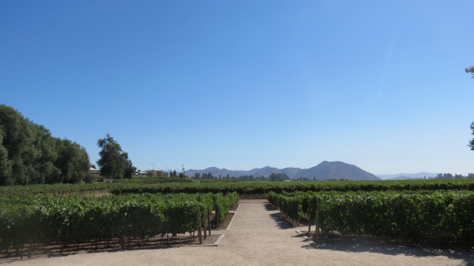 From Santiago: Concha Y Toro Winery Tour With Transfer - Key Points