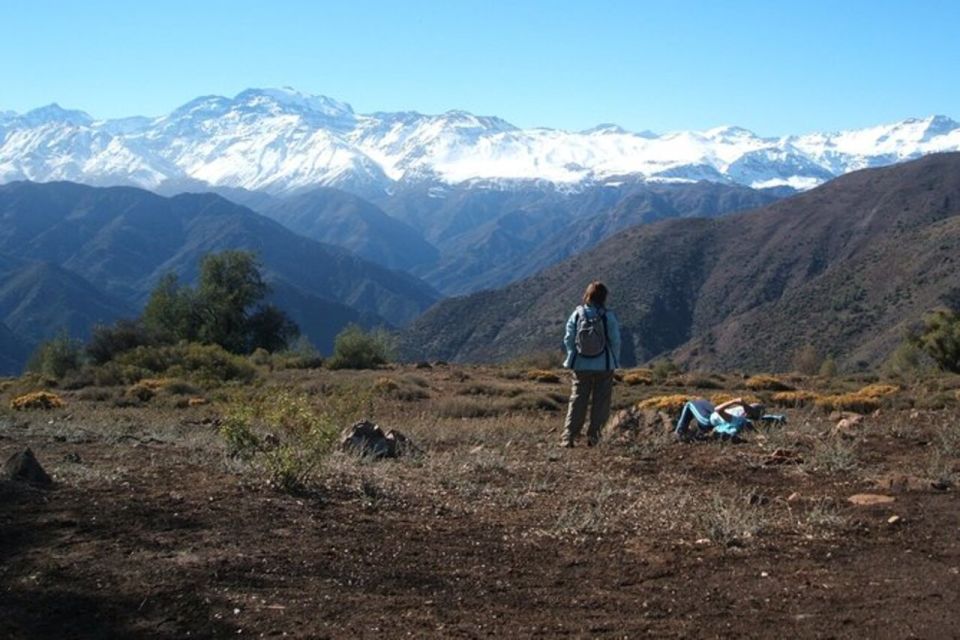From Santiago: Mount Altos Del Naranjo Half-Day Hike - Key Points