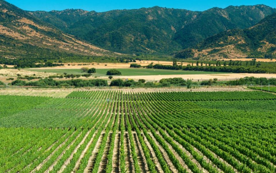 From Santiago: Private Colchagua Valley Wine Tour W/ Tasting - Key Points
