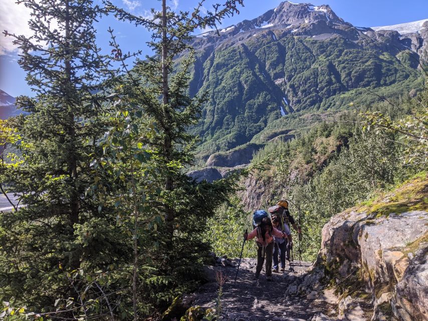 From Seward: 4-hour Wilderness Hiking Tour - Key Points