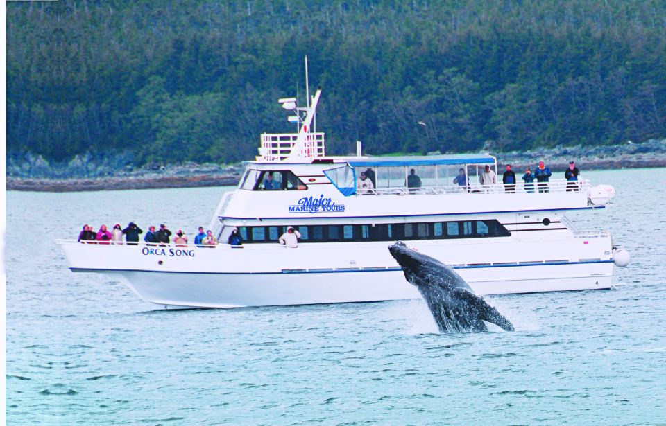 From Seward: Half-Day Resurrection Bay Wildlife Cruise Tour - Key Points