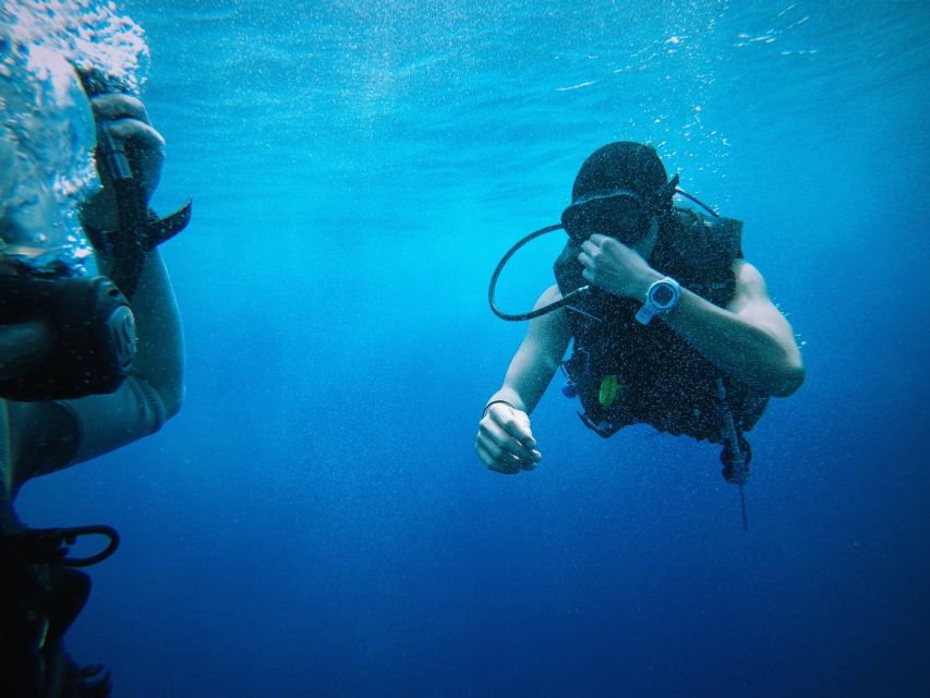 From Sharm El Sheikh: Sharks Bay Scuba Diving Trip - Key Points