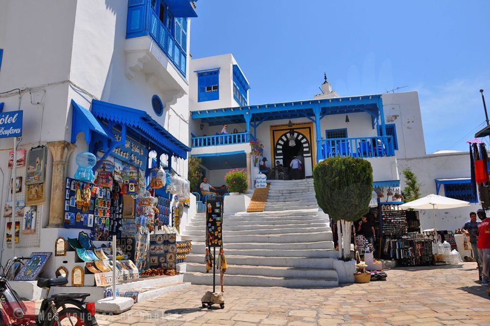 From Sousse: Day Trip to Carthage, Tunis and Sidi Bou - Key Points