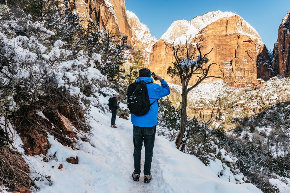 From Springdale: 4-hour Zion Canyon Scenic Hiking Tour - Key Points