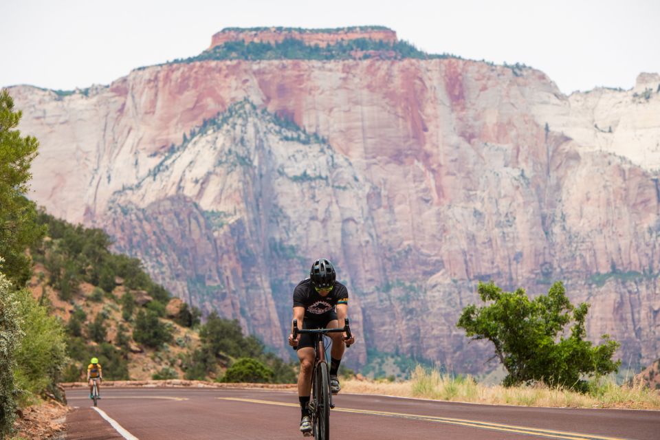 From Springdale: Zion National Park Bike Tour - Key Points